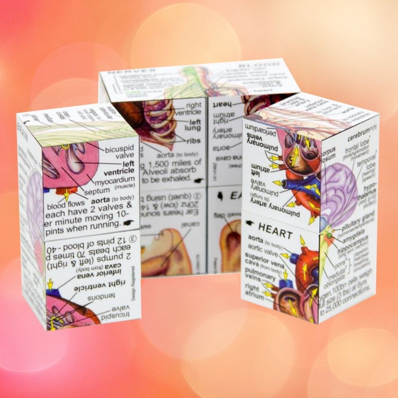 Zoobookoo Cube Books Human Body