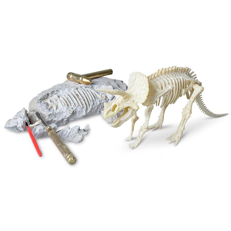 Triceratops Palaeontology Kit