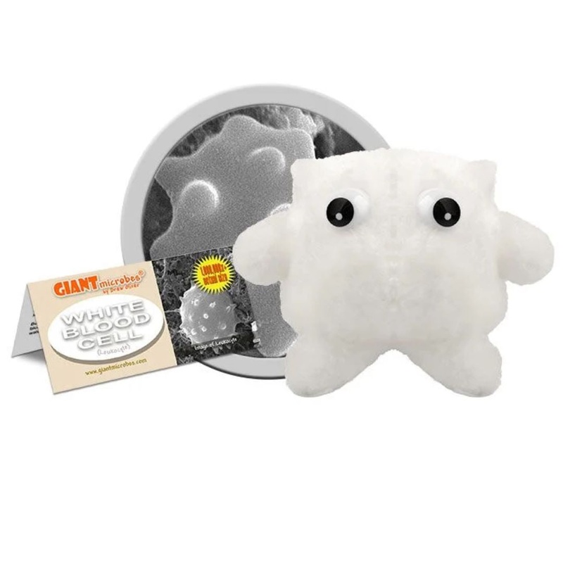 White Blood Cell (Leukocyte)