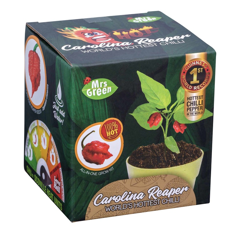 Carolina Reaper Chilli
