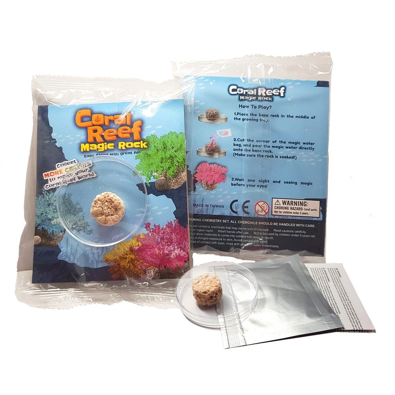 Coral Reef Magic Rock