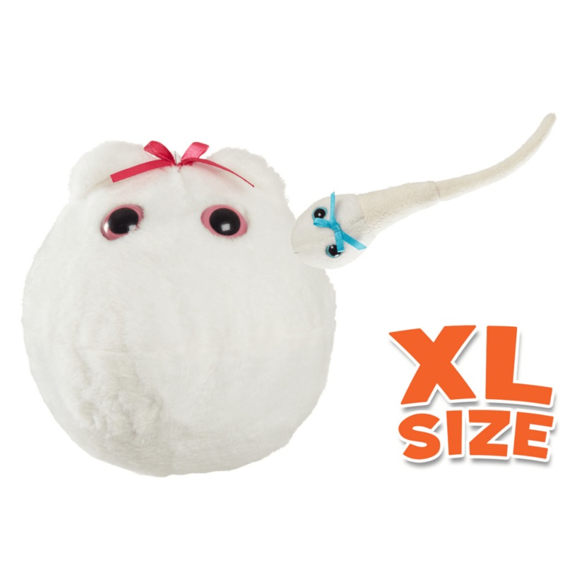 Egg Cell XL 15cm & Mini Magnetic Sperm Cell