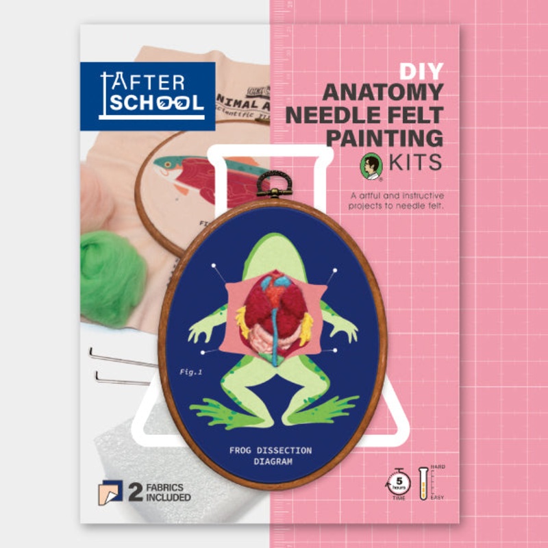 DIY Frog and Fish Anatomy Needle Felting Kit