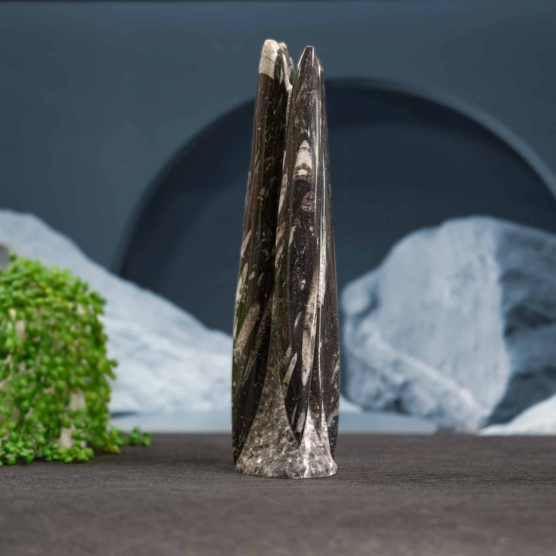 Nautiloid Chambered Orthoceras Sculpture