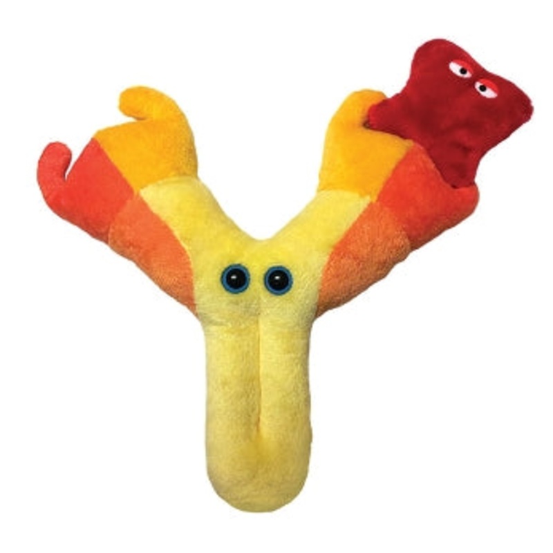 Antibody (Immunoglobulin)