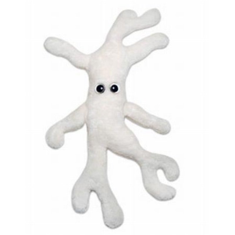 Bone Cell (Osteocyte)