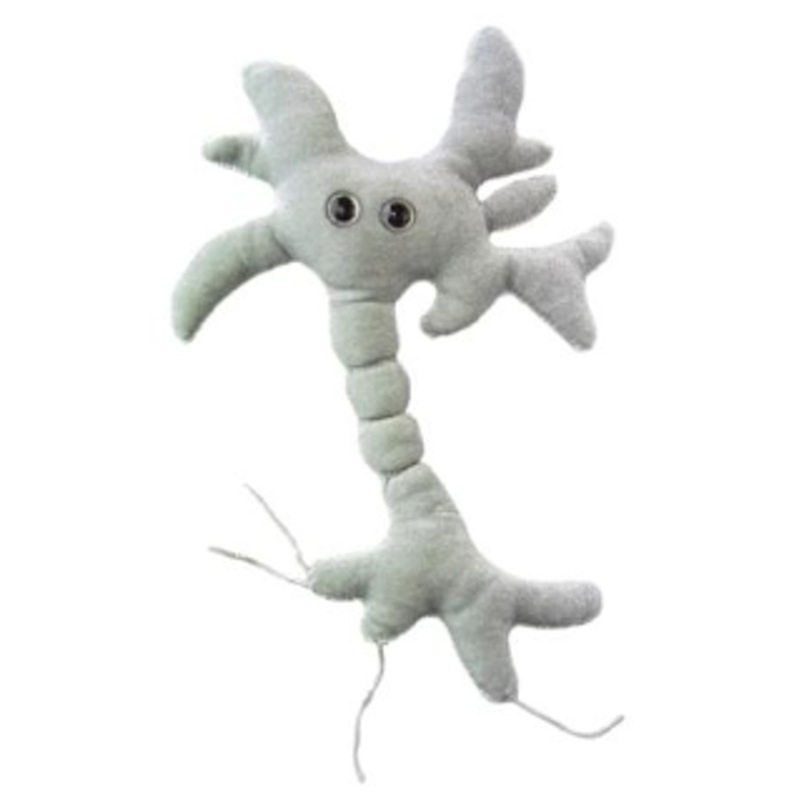 Brain Cell (Neuron)