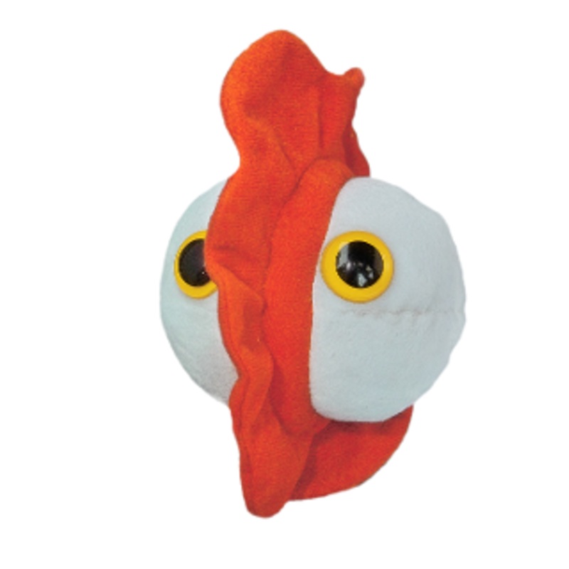 Chickenpox (Varicella-Zoster virus)
