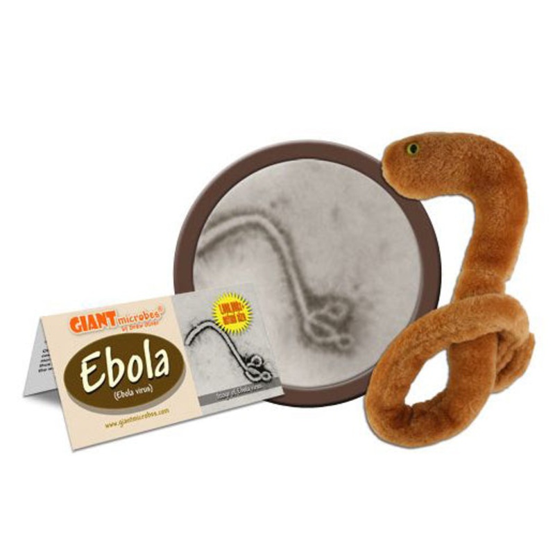 Ebola (Ebola Virus)
