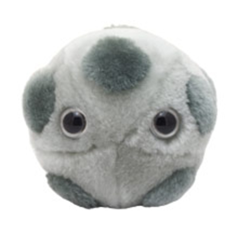 HPV (Human papillomavirus)