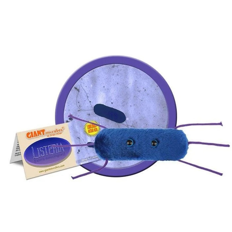 Listeria (Listeria monocytogenes)
