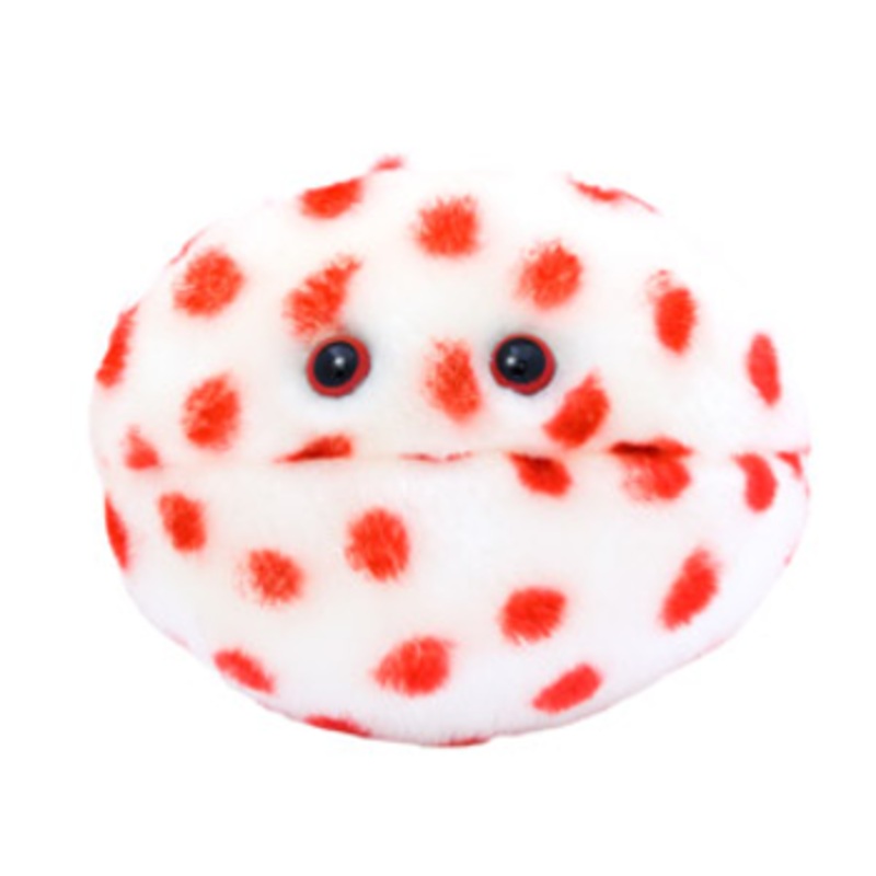 Measles (Morbillivirus)