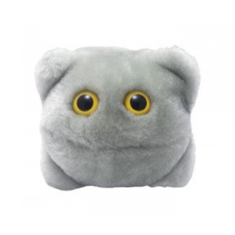 Norovirus (Norovirus)
