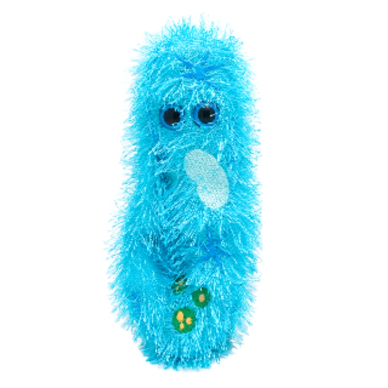 Paramecium (Paramecium caudatum)