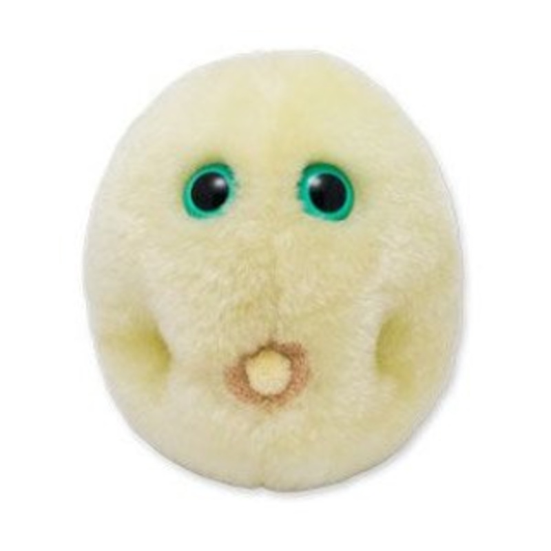 Pollen (Hay Fever)