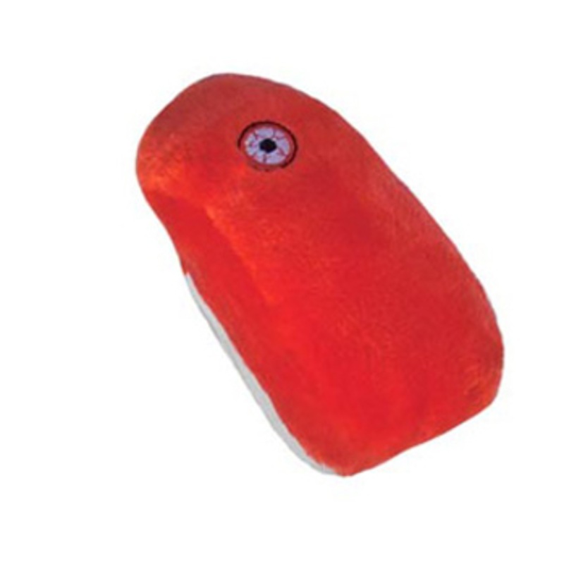 Rabies (Rabies virus)