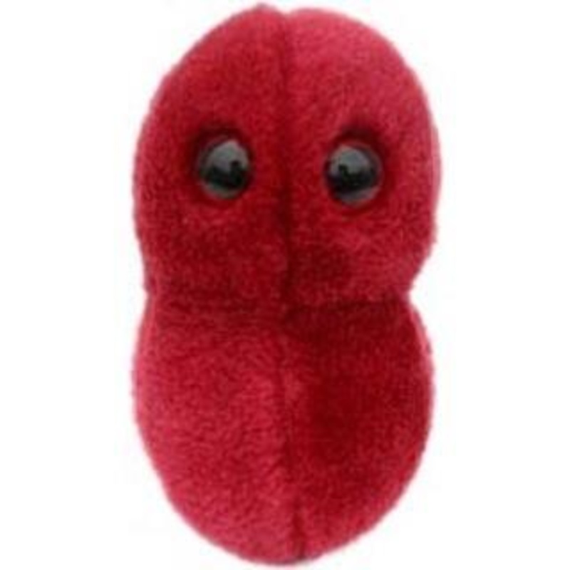 Sore Throat (Streptococcus)