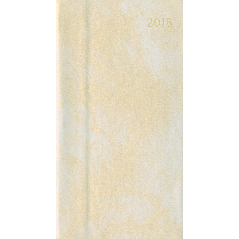 2018 Iridescent Champagne Slim Diary