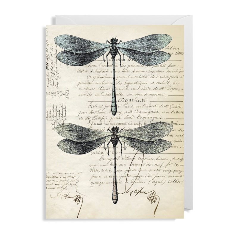 Two Dragonflies Card