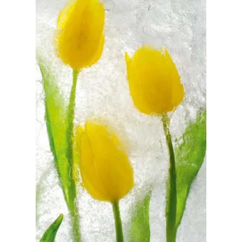 Yellow Tulips Card