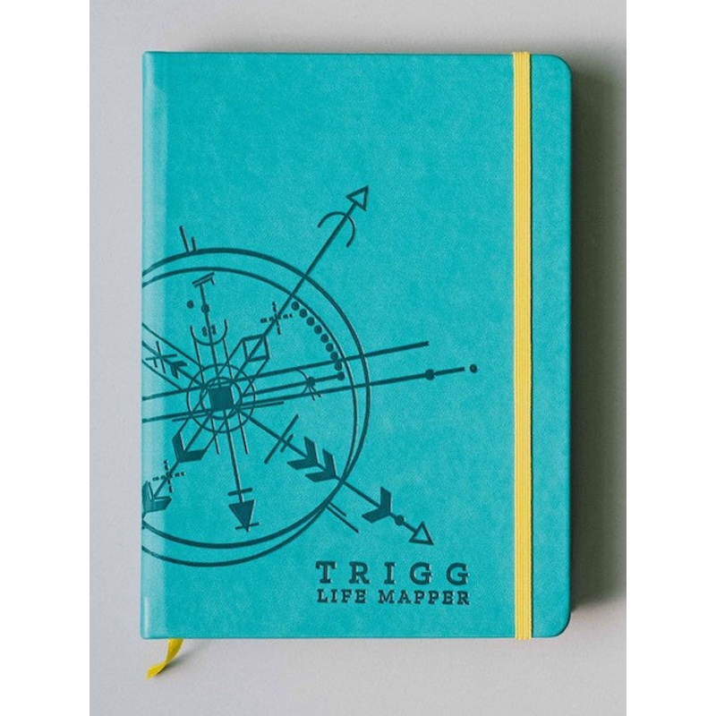 Trigg Life Mapper 2020