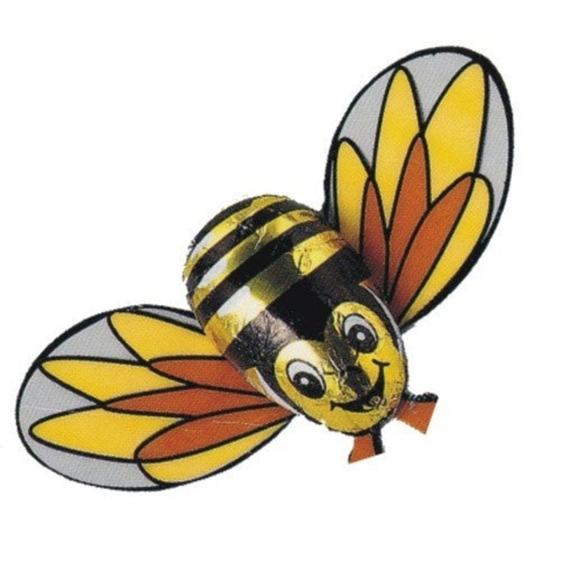 Chocolate Foiled Bumble Bee 6.25g