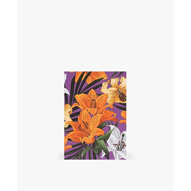 Hawaii A5 Daily Notebook