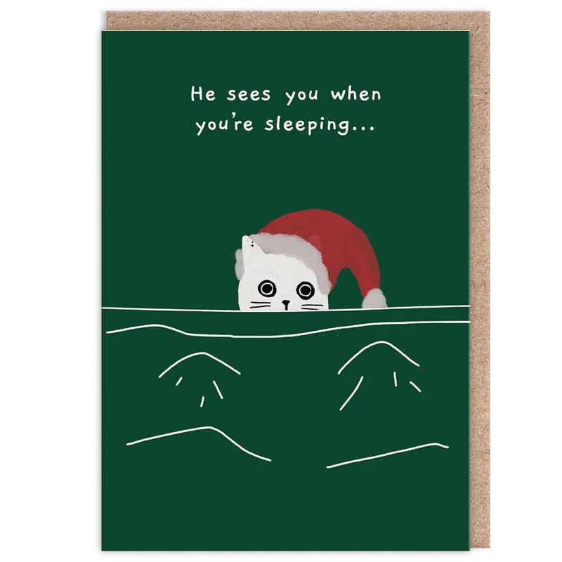 He See's You When You're Sleeping Cat Card