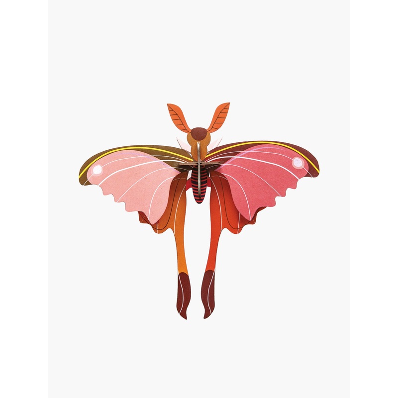 Pink Comet Butterfly Wall Decoration
