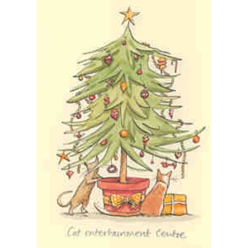 Cat Entertainment Centre Christmas Card