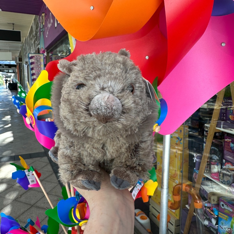 Artist Mini Wombat Plush