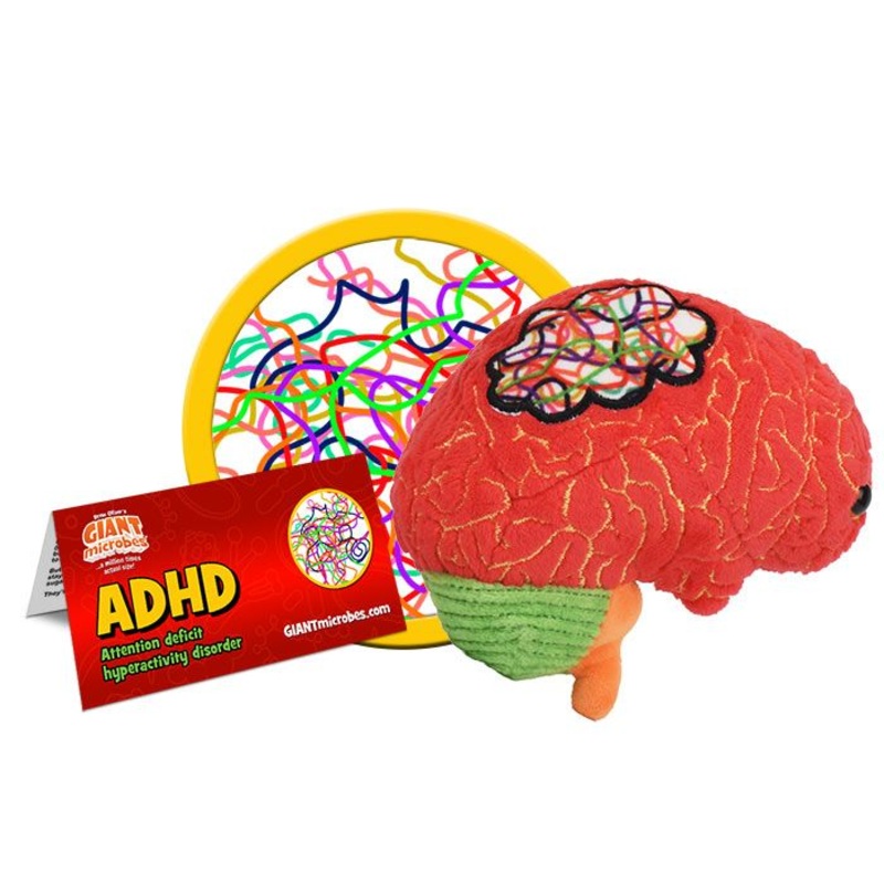 ADHD - Brain