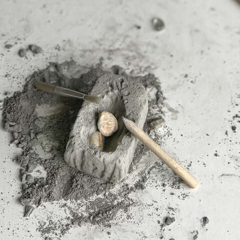 Mini Fossil Dig Paleo Kit