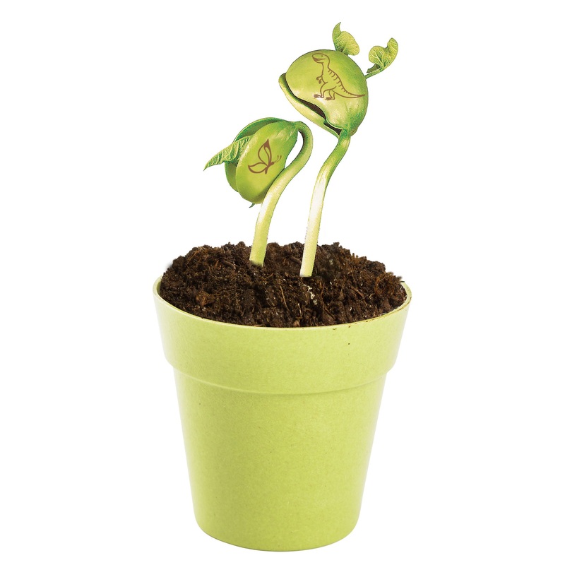 Mrs Greens Magic Beans