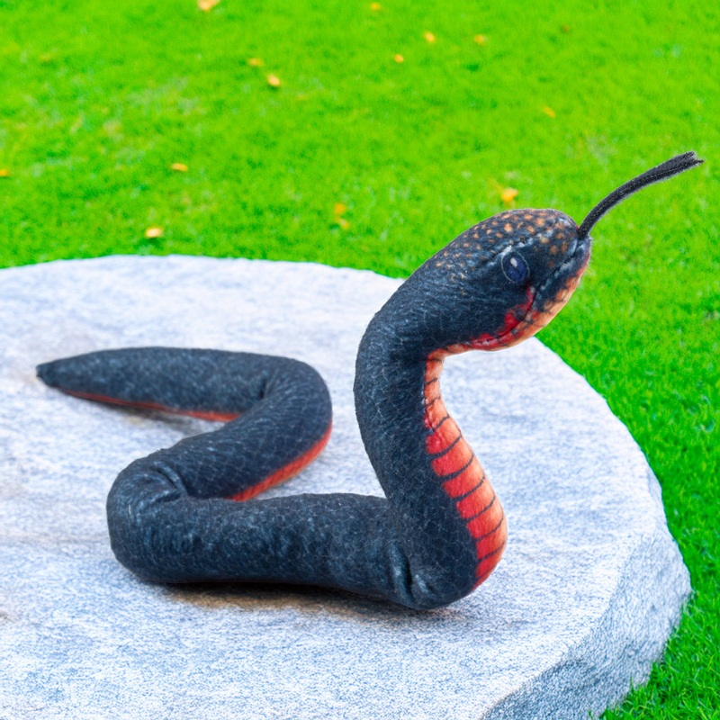 Coilkins Red Bellied Black Snake