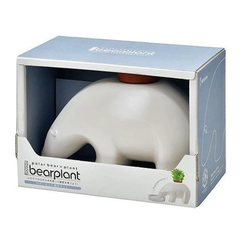 Seishin Polar Bear