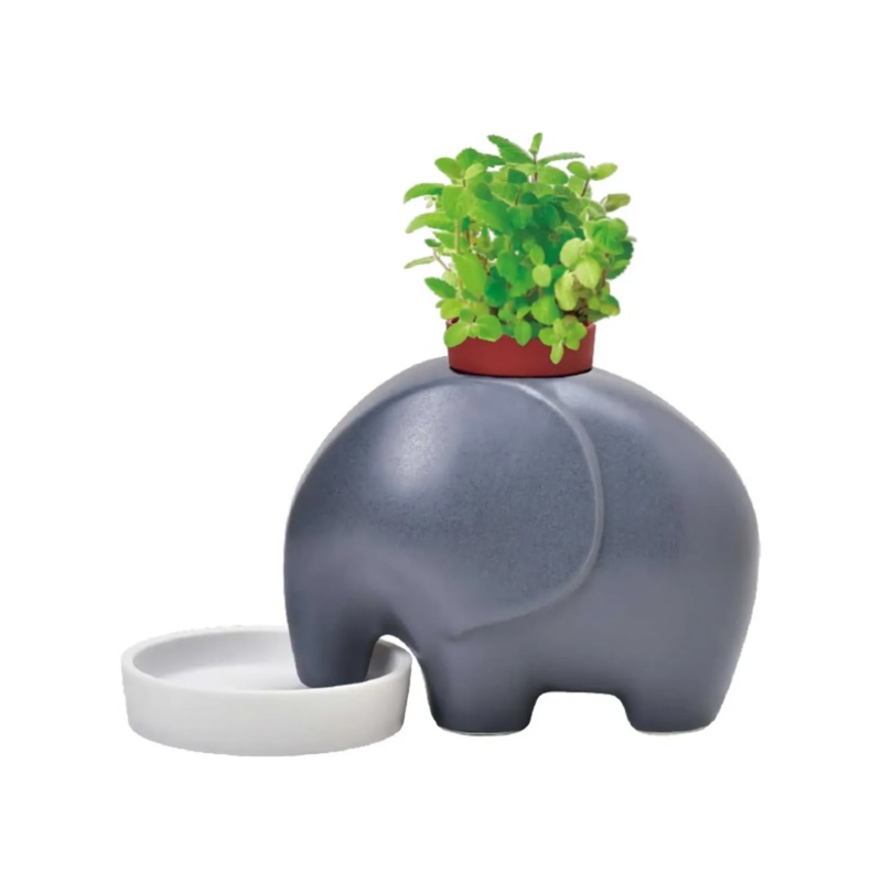 Seishin Elephant