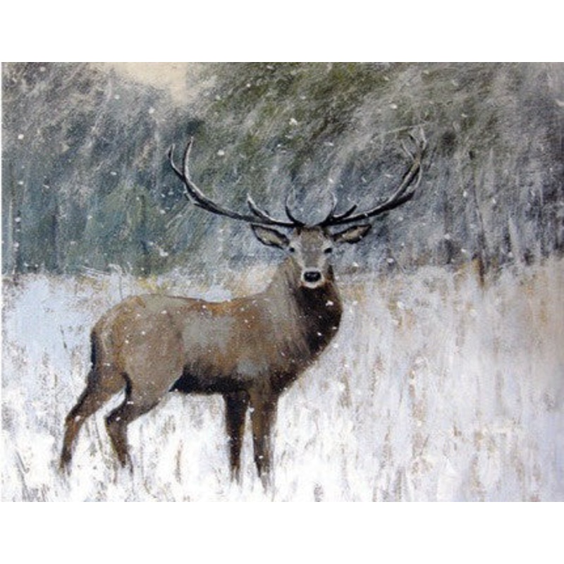 Winter Stag Pack of 5 Christmas Cards