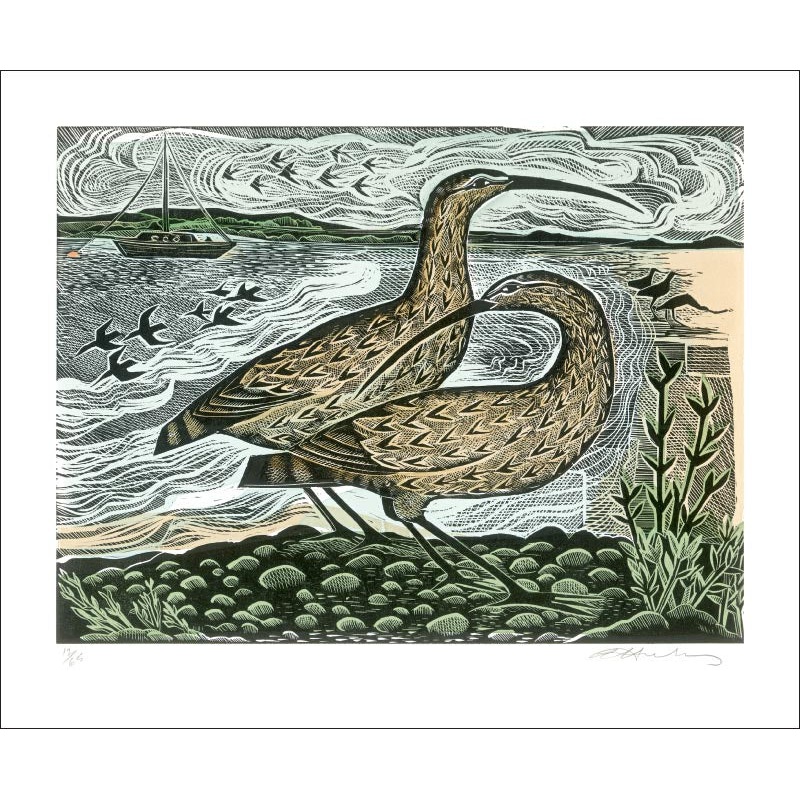 Two Curlews on the Deben Card by Angela Harding