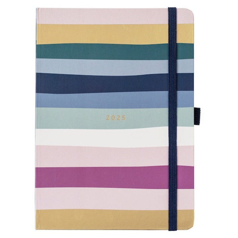 2025 Busy Life Diary Stripe