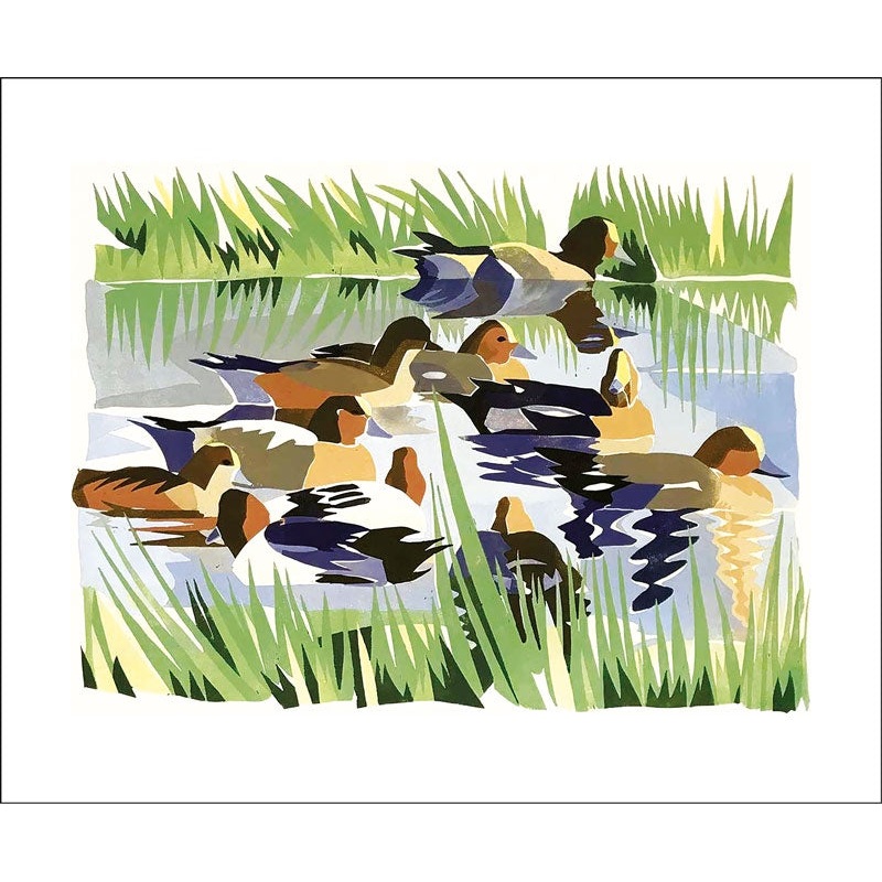 Wigeon By Lisa Hooper Card