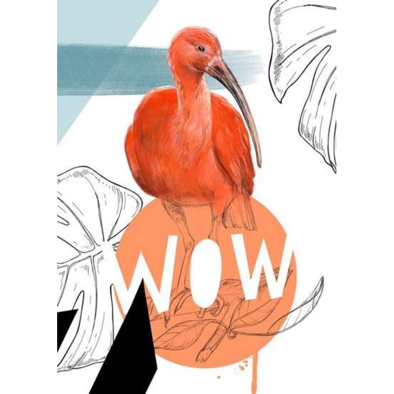 Wow Scarlet Ibis Card
