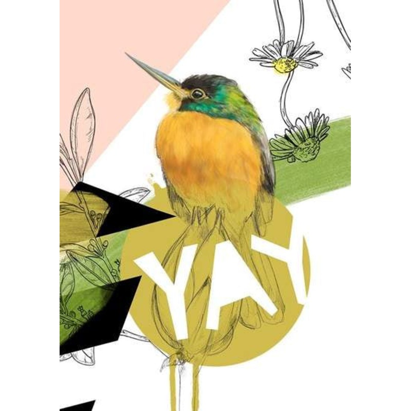 Yay Blue-Cheeked Jacamar