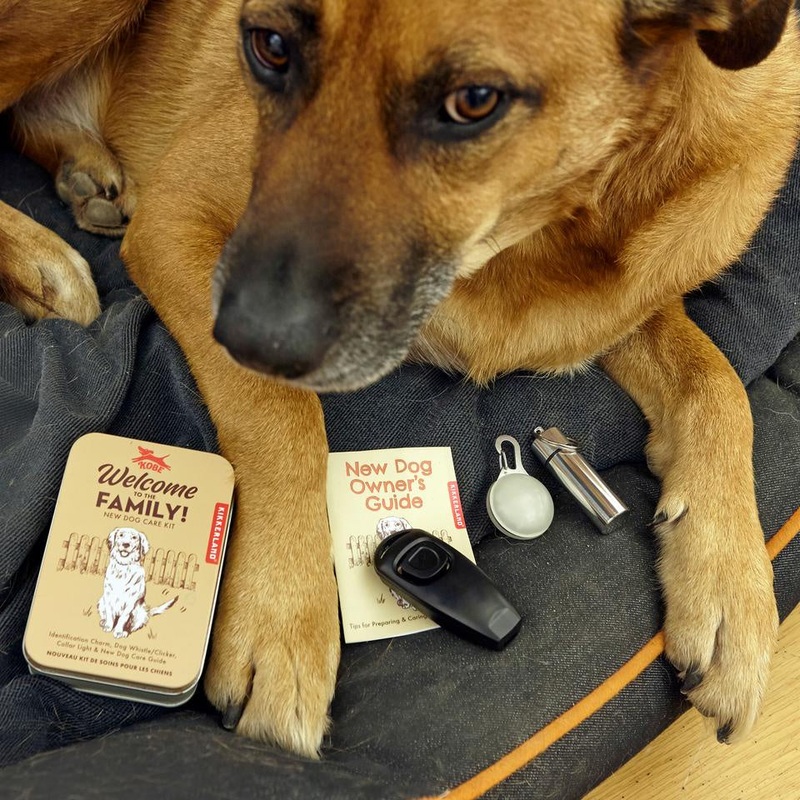 Welcome to the Family Dog Care Kit