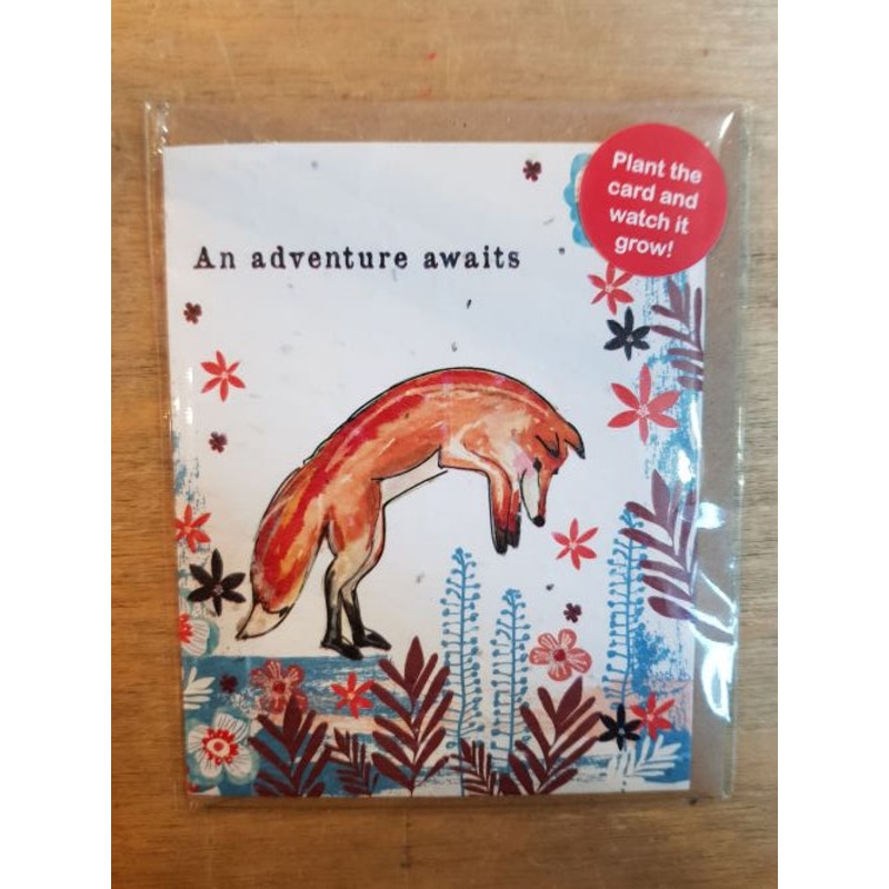 An Adventure Awaits Seed Card
