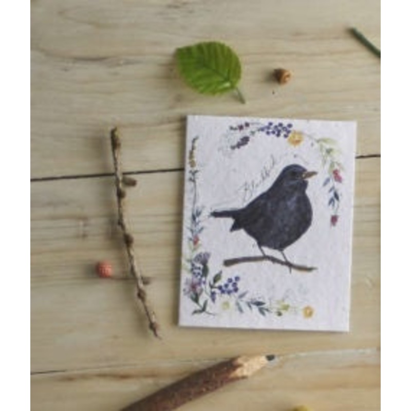 Blackbird & Flowers Seed Card