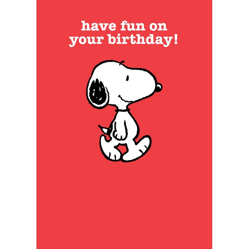 Have Fun On Your Birthday Snoopy Card