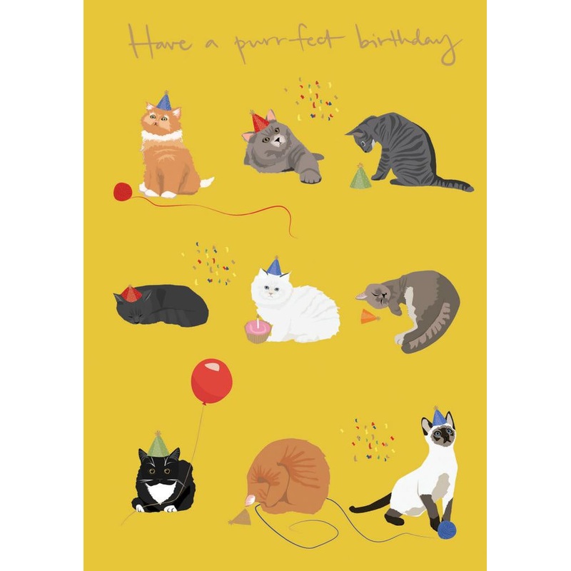 Nine Cats with Hats Birthday Card