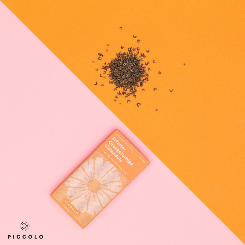 Erfurter Orangefarbige Calendula Seeds