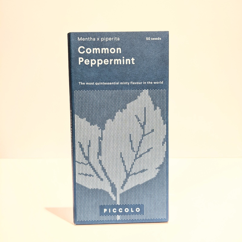 Common Peppermint